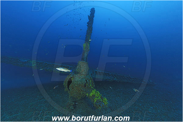 Island Vis, Croatia, Adriatic sea, Mediterranean sea, Wreck, Airplane, Bomber, B-17, Flying fortress
