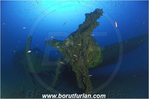 Island Vis, Croatia, Adriatic sea, Mediterranean sea, Wreck, Airplane, Bomber, B-17, Flying fortress, Propeller