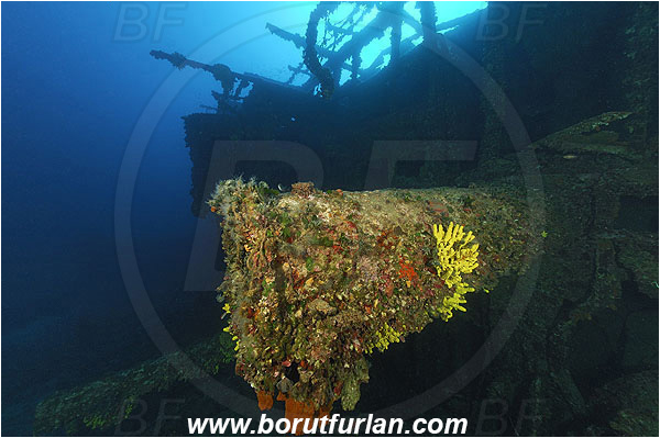 Island Vis, Croatia, Adriatic sea, Mediterranean sea, Wreck Vassilios, Wreck, Vassilios