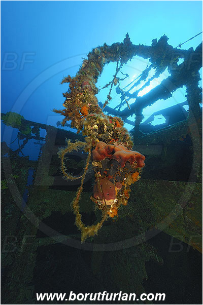 Island Vis, Croatia, Adriatic sea, Mediterranean sea, Wreck Vassilios, Wreck, Vassilios