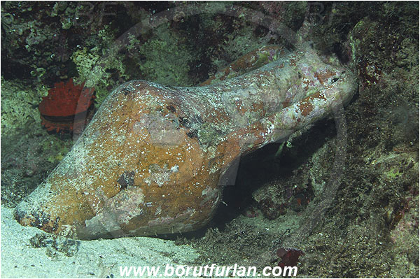 Kas, Turkey, Mediterranean sea, Amphora
