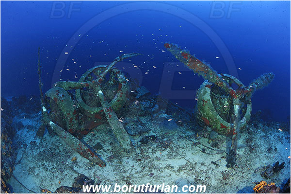 Kas, Turkey, Mediterranean sea, Wreck, Bomber, Savoia-Marchetti S.M. 79-I, Engine, Propeller, Reef