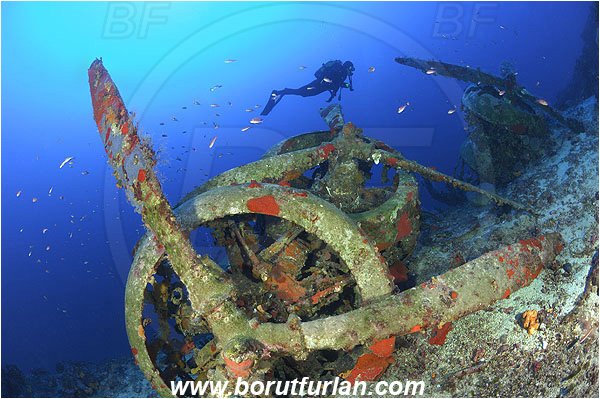 Kas, Turkey, Mediterranean sea, Wreck, Bomber, Savoia-Marchetti S.M. 79-I, Engine, Propeller, Reef, Diver