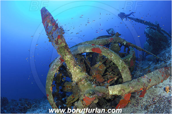 Kas, Turkey, Mediterranean sea, Wreck, Bomber, Savoia-Marchetti S.M. 79-I, Engine, Propeller, Reef, Diver