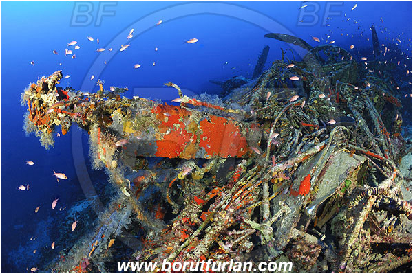 Kas, Turkey, Mediterranean sea, Wreck, Bomber, Savoia-Marchetti S.M. 79-I, Engine, Reef