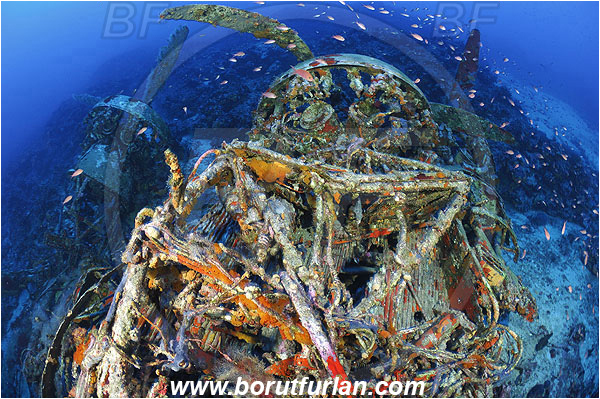 Kas, Turkey, Mediterranean sea, Wreck, Bomber, Savoia-Marchetti S.M. 79-I, Engine, Reef