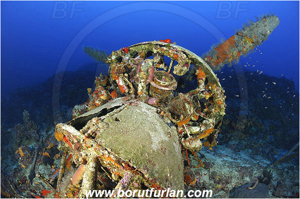 Kas, Turkey, Mediterranean sea, Wreck, Bomber, Savoia-Marchetti S.M. 79-I, Engine, Propeller, Reef