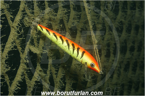 Piran, Slovenia, Adriatic sea, Mediterranean sea, Fishing net, Fishing hook, Fish bait, Artificial fish