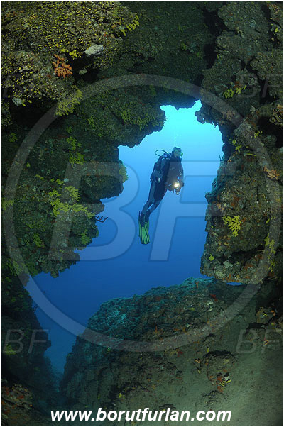 Island Pag, Croatia, Adriatic sea, Mediterranean sea, Reef, Cave, Diver