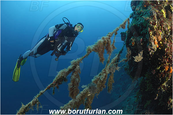Island Pag, Croatia, Adriatic sea, Mediterranean sea, Discarded fishing net, Fishing net, Reef, Diver
