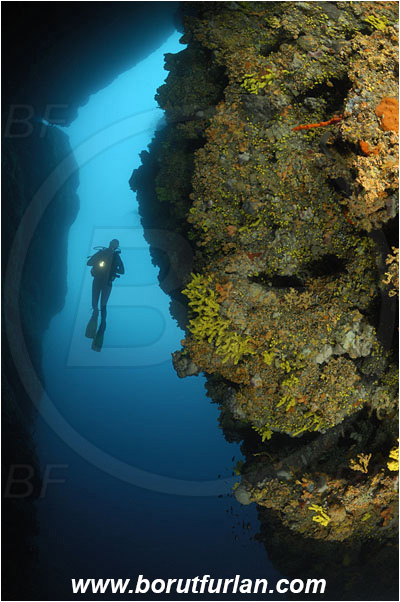 Island Cres, Croatia, Adriatic sea, Mediterranean sea, Reef, Cave, Canyon, Diver