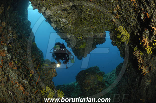 Island Cres, Croatia, Adriatic sea, Mediterranean sea, Reef, Cave, Diver