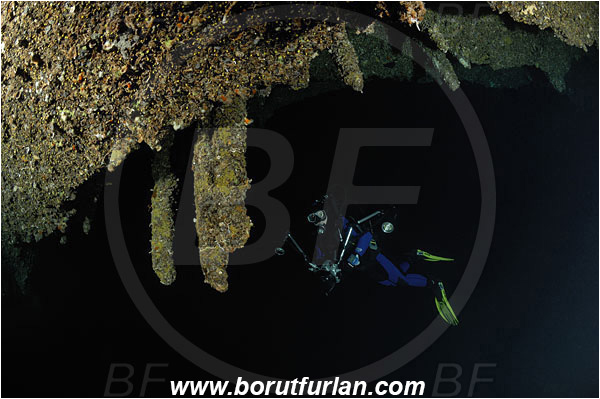 Island Brac, Croatia, Adriatic sea, Mediterranean sea, Reef, Cave, Stalactite, Diver, Underwater photographer