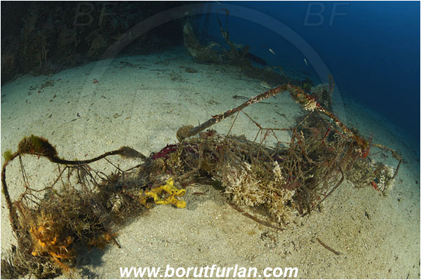 Island Solta, Croatia, Adriatic sea, Mediterranean sea, Discarded fishing net, Fishing net, Reef