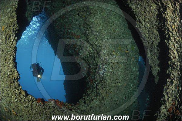 Island Solta, Croatia, Adriatic sea, Mediterranean sea, Reef, Cave, Diver