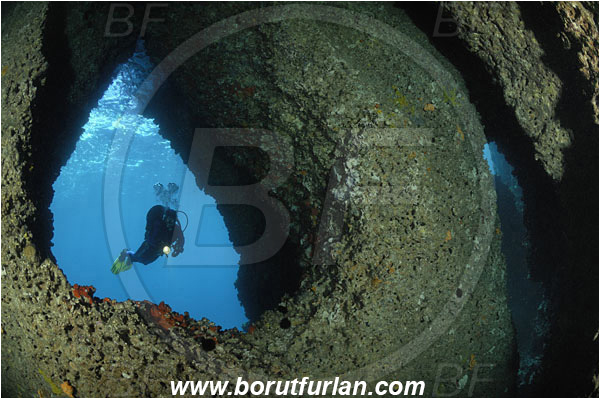 Island Solta, Croatia, Adriatic sea, Mediterranean sea, Reef, Cave, Diver