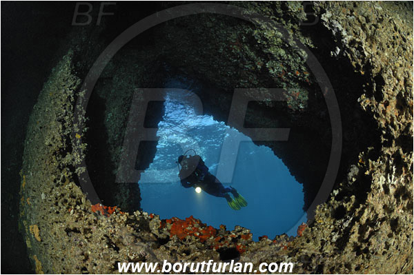 Island Solta, Croatia, Adriatic sea, Mediterranean sea, Reef, Cave, Diver