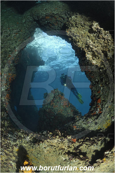 Island Solta, Croatia, Adriatic sea, Mediterranean sea, Reef, Cave, Diver