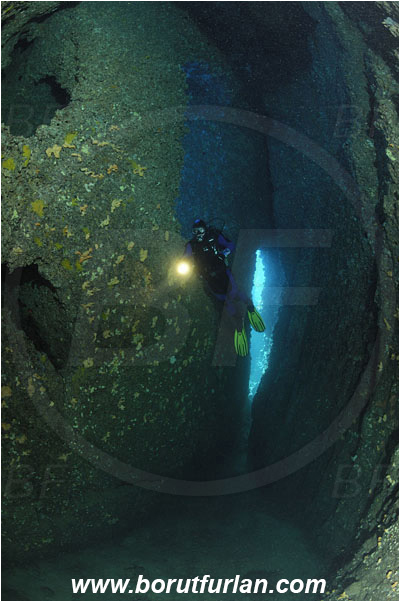 Island Solta, Croatia, Adriatic sea, Mediterranean sea, Reef, Cave, Diver