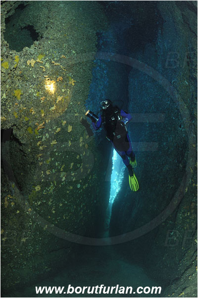 Island Solta, Croatia, Adriatic sea, Mediterranean sea, Reef, Cave, Diver