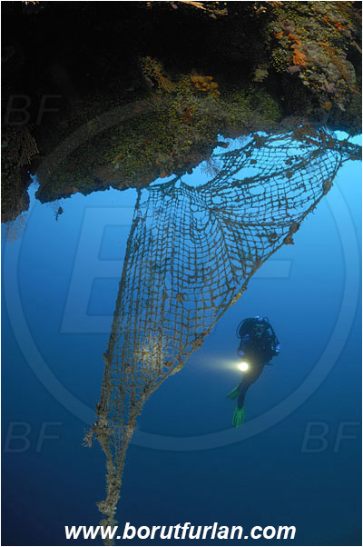 Island Solta, Croatia, Adriatic sea, Mediterranean sea, Discarded fishing net, Fishing net, Reef, Wall, Overhang, Diver