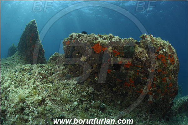 Island Solta, Croatia, Adriatic sea, Mediterranean sea, Reef, Rocks