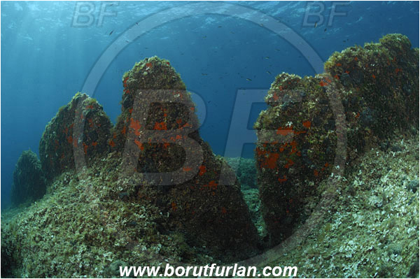 Island Solta, Croatia, Adriatic sea, Mediterranean sea, Reef, Rocks