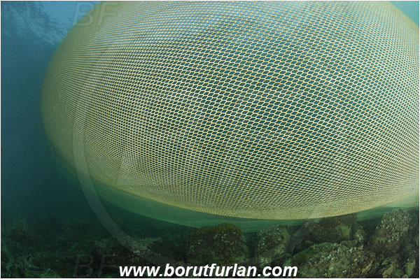Piran, Slovenia, Adriatic sea, Mediterranean sea, Fishing net