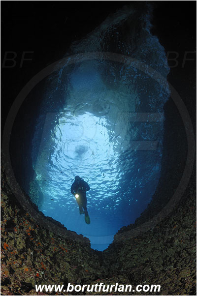 Island Susac, Croatia, Adriatic sea, Mediterranean sea, Reef, Cave, Diver