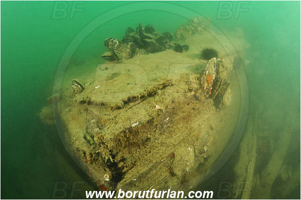 Secovlje, Slovenia, Adriatic sea, Mediterranean sea, Wreck