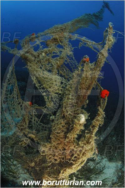 Bodrum, Turkey, Aegean sea, Mediterranean sea, Discarded fishing net, Fishing net