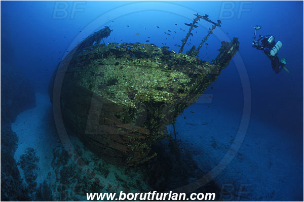 Island Vis, Croatia, Adriatic sea, Mediterranean sea, Wreck Fortunal, Wreck, Fortunal, Bow, Diver, Underwater photographer