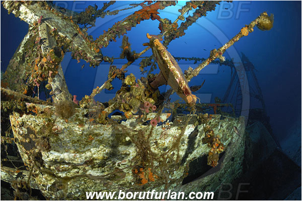 Island Vis, Croatia, Adriatic sea, Mediterranean sea, Wreck Fortunal, Wreck, Fortunal