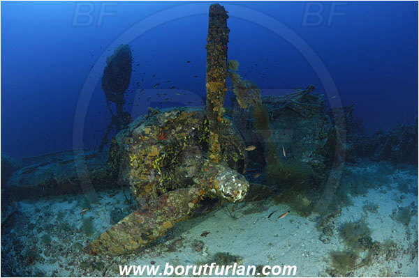 Island Vis, Croatia, Adriatic sea, Mediterranean sea, Wreck, Airplane, Bomber, B-24, Consolidated B-24 Liberator