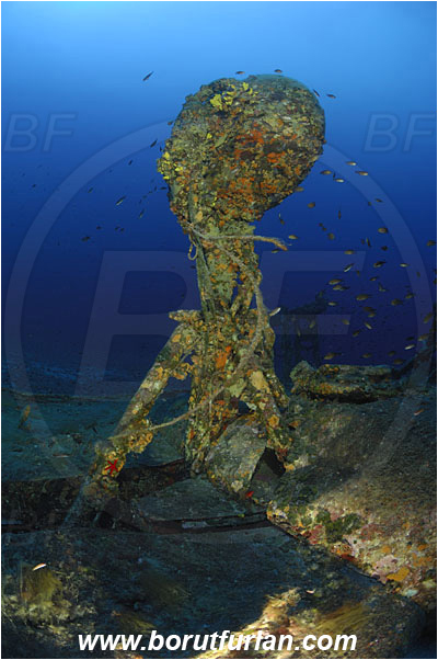 Island Vis, Croatia, Adriatic sea, Mediterranean sea, Wreck, Airplane, Bomber, B-24, Consolidated B-24 Liberator