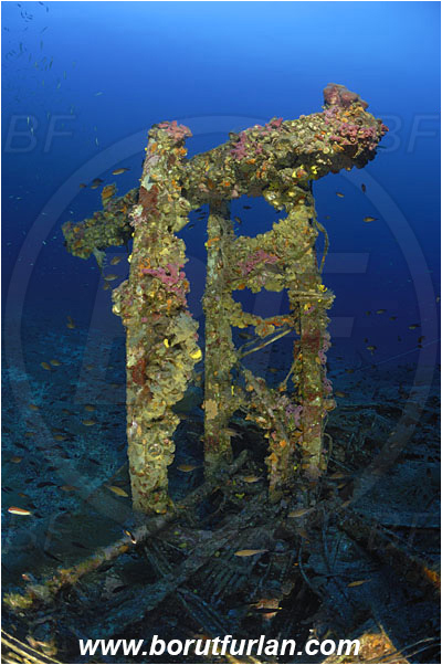 Island Vis, Croatia, Adriatic sea, Mediterranean sea, Wreck, Airplane, Bomber, B-24, Consolidated B-24 Liberator