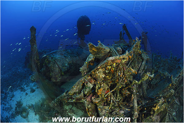 Island Vis, Croatia, Adriatic sea, Mediterranean sea, Wreck, Airplane, Bomber, B-24, Consolidated B-24 Liberator