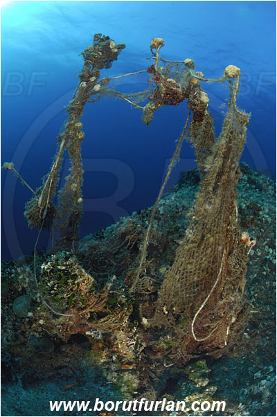 Island Vis, Croatia, Adriatic sea, Mediterranean sea, Discarded fishing net, Fishing net, Reef