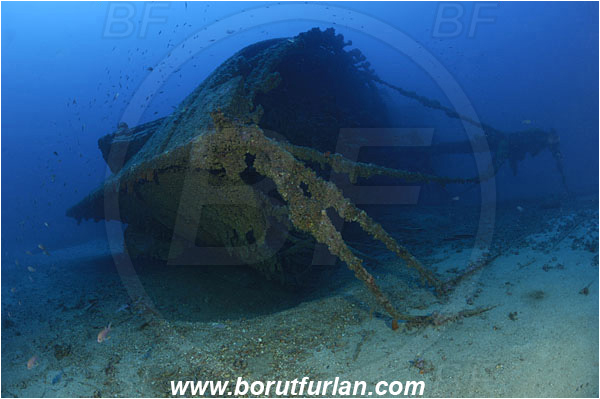 Island Vis, Croatia, Adriatic sea, Mediterranean sea, Wreck Brioni, Wreck, Brioni, Bow