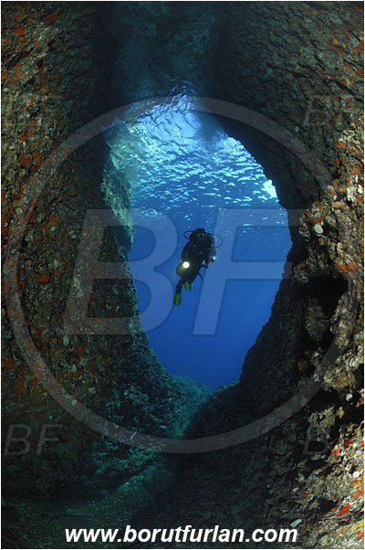 Island Vis, Croatia, Adriatic sea, Mediterranean sea, Reef, Cave, Diver