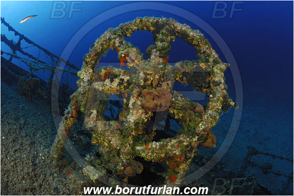 Island Vis, Croatia, Adriatic sea, Mediterranean sea, Wreck Teti, Wreck, Teti, Stern, Steering wheel