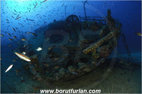 Island Vis, Croatia, Adriatic sea, Mediterranean sea, Wreck Teti, Wreck, Teti, Stern, Steering wheel, Fish school