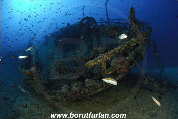 Island Vis, Croatia, Adriatic sea, Mediterranean sea, Wreck Teti, Wreck, Teti, Stern, Steering wheel, Fish school
