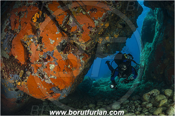 Island Brusnik, Croatia, Adriatic sea, Mediterranean sea, Colourful sponges, Porifera, Reef, Cave, Diver