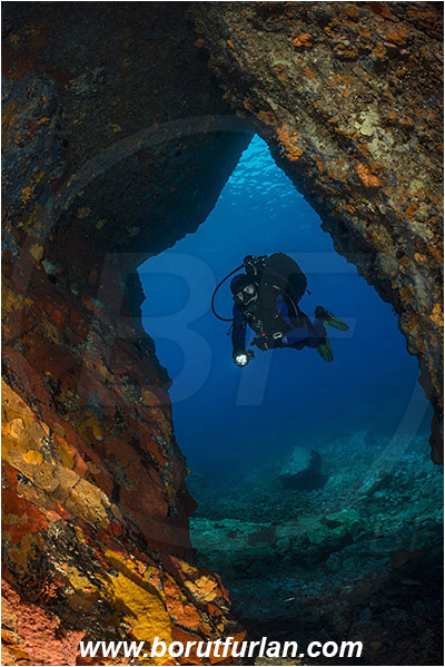 Island Brusnik, Croatia, Adriatic sea, Mediterranean sea, Colourful sponges, Porifera, Reef, Cave, Diver