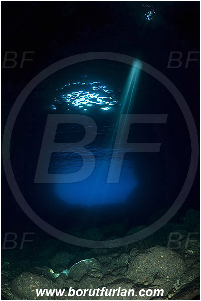 Island Vis, Croatia, Adriatic sea, Mediterranean sea, Reef, Cave, Green cave, Light ray