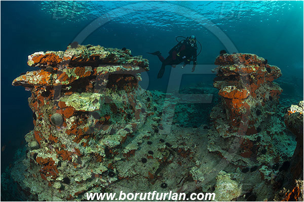 Island Lastovo, Croatia, Adriatic sea, Mediterranean sea, Reef, Rocks, Diver