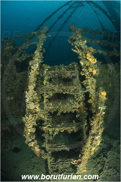 Plomin, Istria, Croatia, Adriatic sea, Mediterranean sea, Wreck Vis, Wreck, Vis