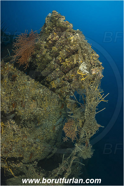 Island Rab, Croatia, Adriatic sea, Mediterranean sea, Wreck, Wreck F-433, German WW-II boat F-433
