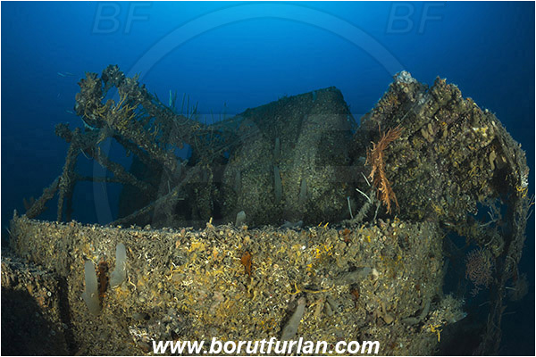 Island Rab, Croatia, Adriatic sea, Mediterranean sea, Wreck, Wreck F-433, German WW-II boat F-433